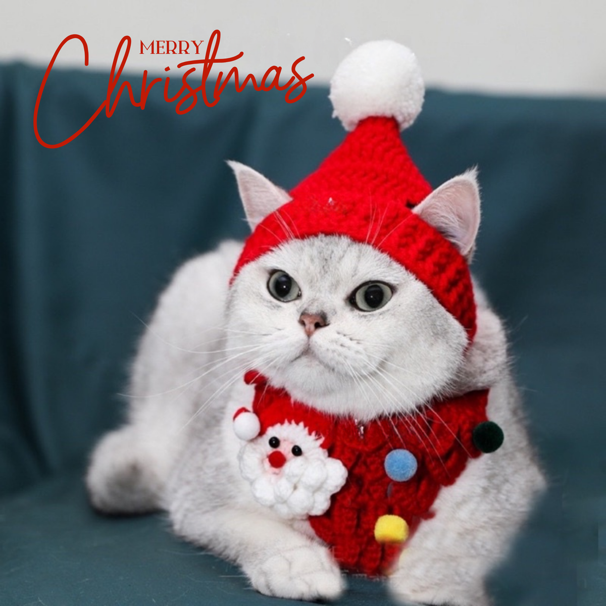 Handmade knitted Christmas hat and bib set for pets