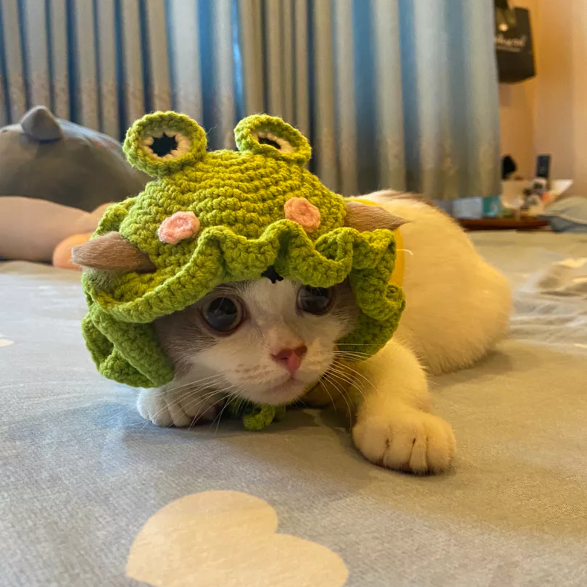 Handmade knitted cute hat for pets