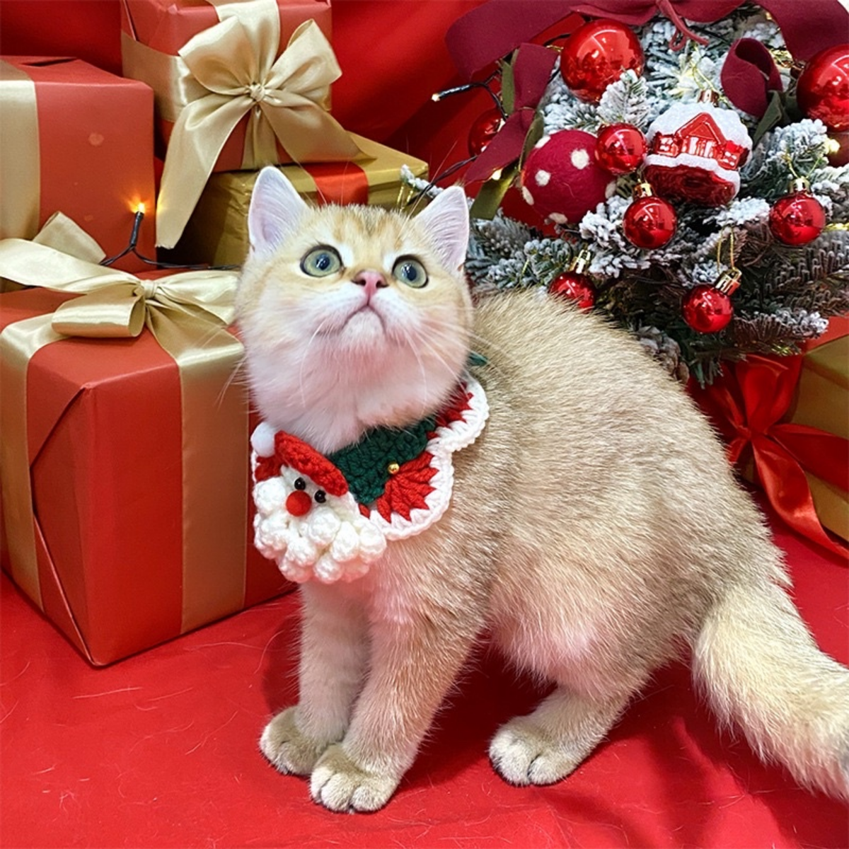 Handmade knitted Christmas bib for pets