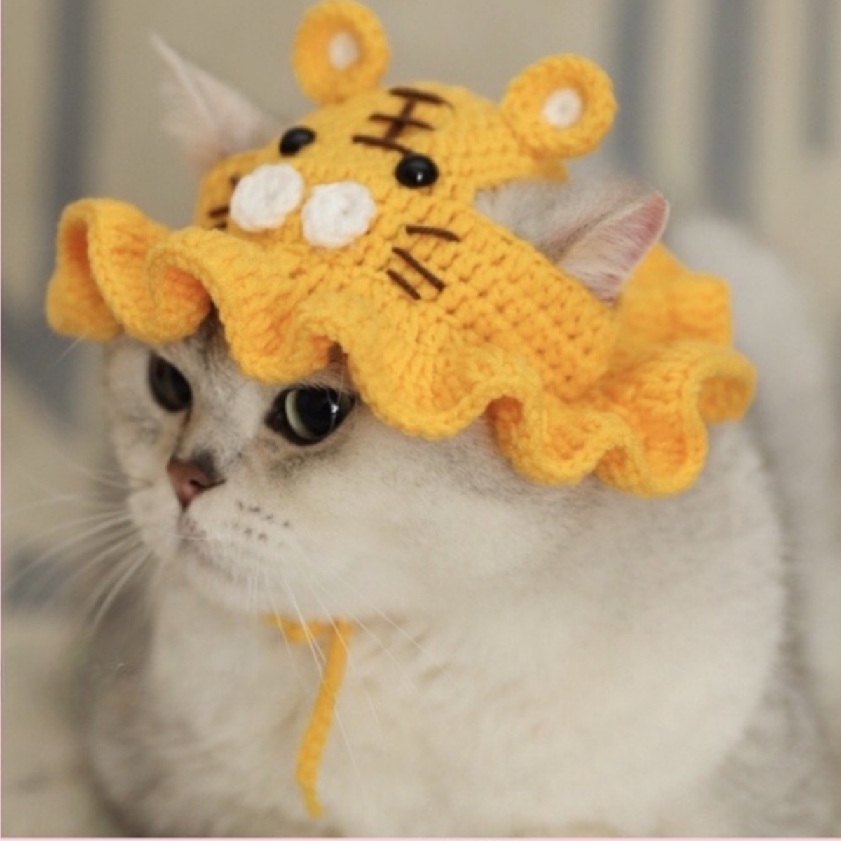 Cute knitted tiger cub hat for adorable pets