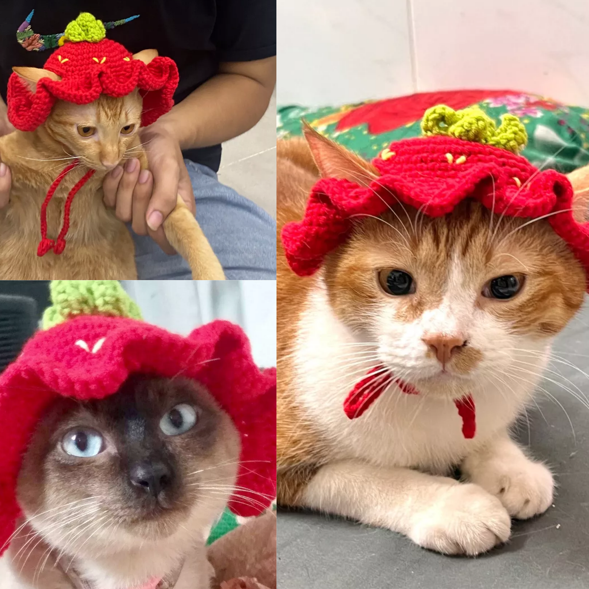 Handmade knitted cute and sweet strawberry hat for pets