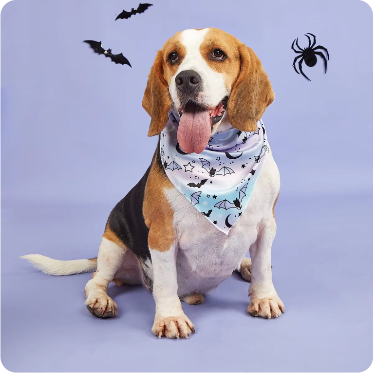 Dog Bandana Halloween Dream Moon and Stars Pet Bandana Scarf Triangle Bat Kerchief  Pet Costume Accessories Decoration for Small