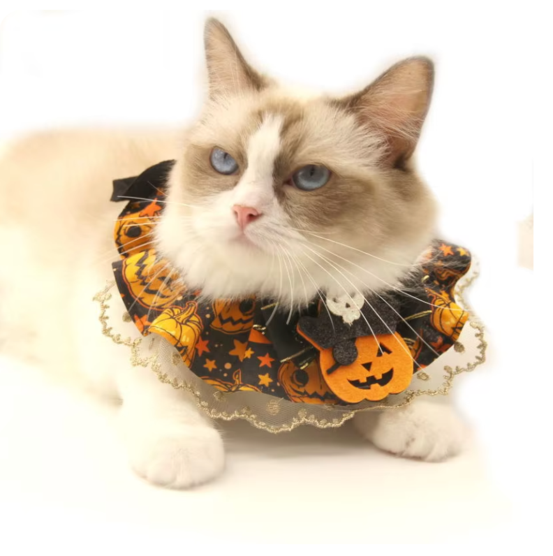 Creative Halloween Lace Cat Collar with Adjustable Bib Scarf for Pet Costume Pumpkin Lace Collar for Cats Halloween Dog Necklace