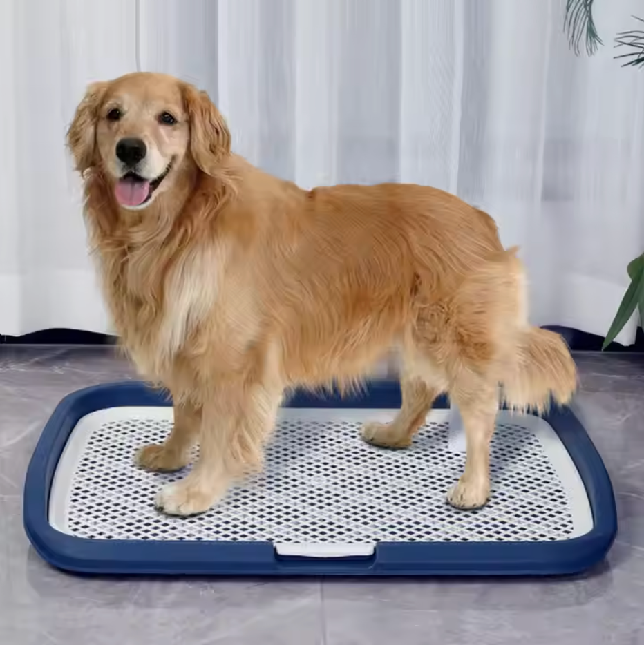 Large Dog Toilet Potty Training Convenient Removable Mesh Tray Seamless Dog Cleaning Robust for Dog up to 50kg Indoor Pet Toilet